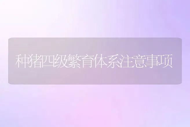 种猪四级繁育体系注意事项 | 动物养殖