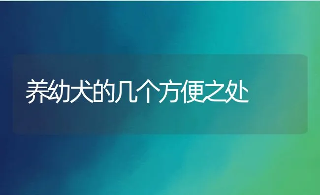 养幼犬的几个方便之处 | 宠物病虫害