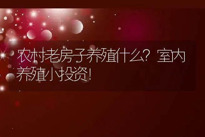 农村老房子养殖什么？室内养殖小投资！ | 养殖致富