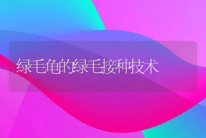 绿毛龟的绿毛接种技术 | 动物养殖