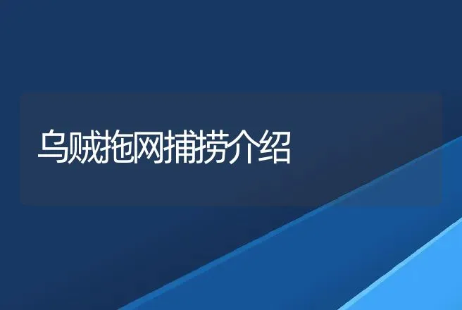 乌贼拖网捕捞介绍 | 渔业捕捞