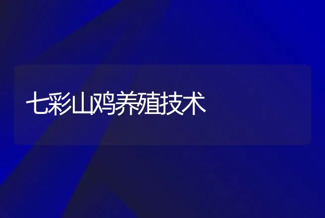 七彩山鸡养殖技术 | 家禽养殖