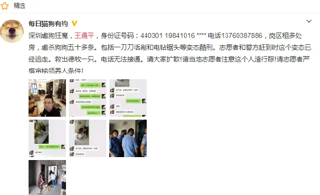 深圳虐狗狂魔王遇平被狗友圈刷屏，虐狗行为真的是人神共愤！ | 宠物新闻资讯