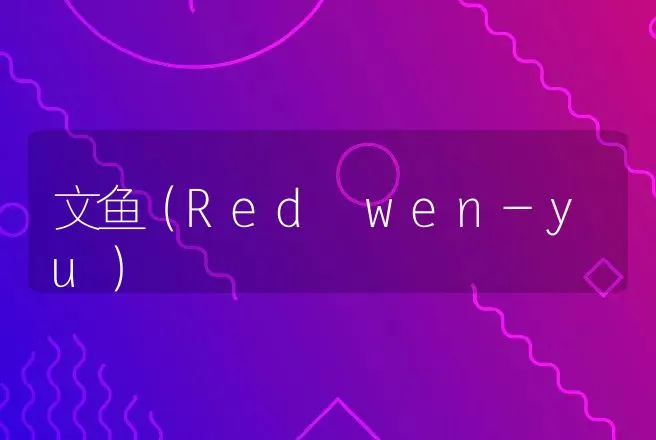 文鱼（Red wen-yu） | 动物养殖