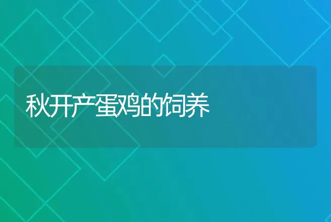 秋开产蛋鸡的饲养 | 动物养殖