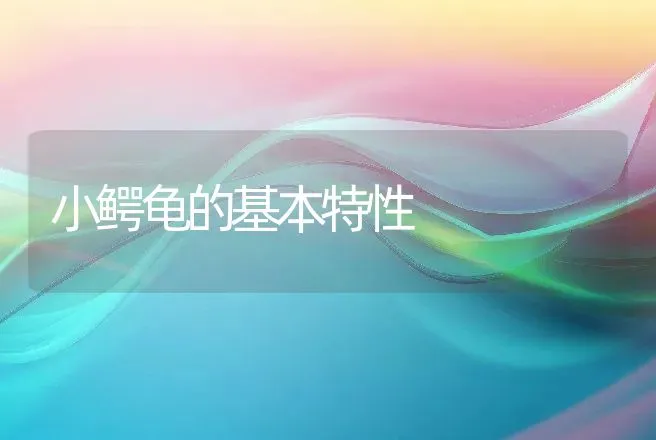 小鳄龟的基本特性 | 动物养殖