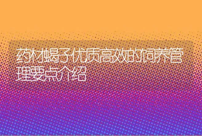 药材蝎子优质高效的饲养管理要点介绍 | 特种养殖