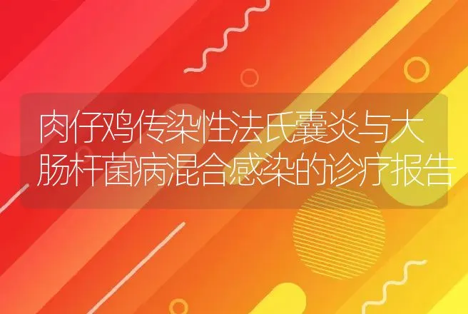 肉仔鸡传染性法氏囊炎与大肠杆菌病混合感染的诊疗报告 | 动物养殖