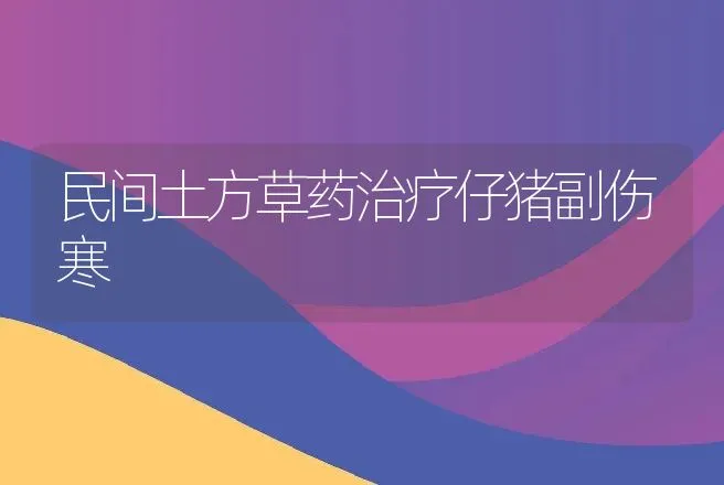 民间土方草药治疗仔猪副伤寒 | 动物养殖