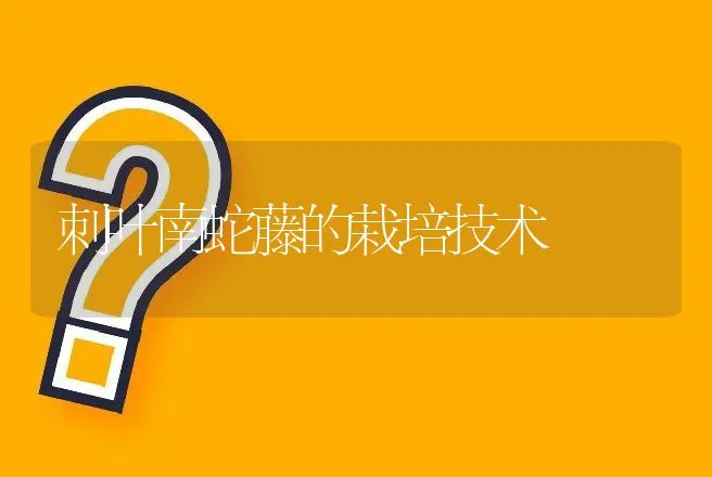 刺叶南蛇藤的栽培技术 | 动物养殖