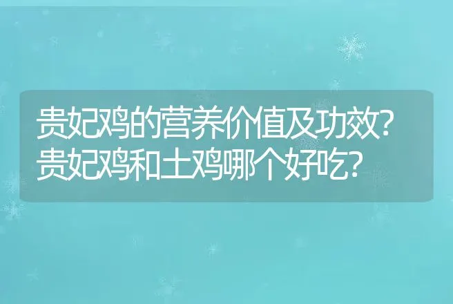 贵妃鸡的营养价值及功效？贵妃鸡和土鸡哪个好吃？ | 家禽养殖