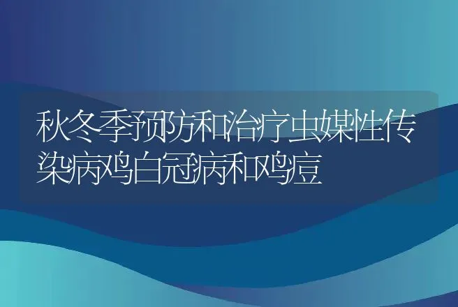 秋冬季预防和治疗虫媒性传染病鸡白冠病和鸡痘 | 动物养殖