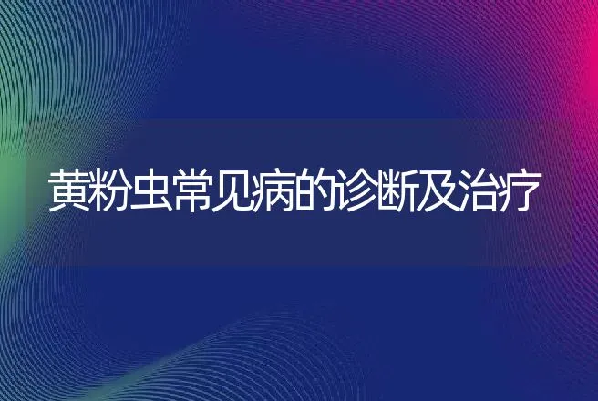 黄粉虫常见病的诊断及治疗 | 动物养殖