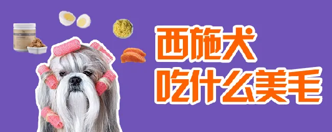 西施犬吃什么美毛 | 宠物病虫害防治