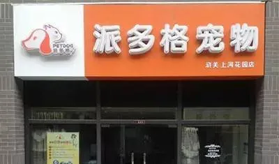 【开宠物店需要什么】开宠物店怎么办理手续 | 宠物新闻资讯