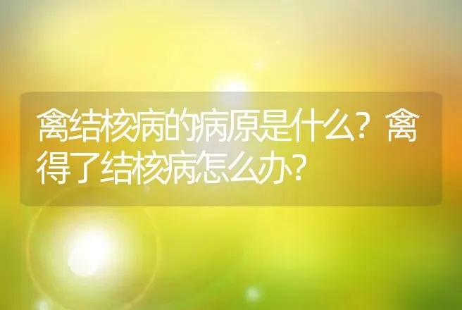 禽结核病的病原是什么？禽得了结核病怎么办？ | 兽医知识大全