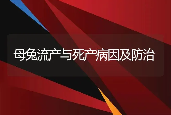 母兔流产与死产病因及防治 | 动物养殖