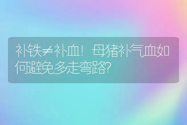 补铁≠补血！母猪补气血如何避免多走弯路？ | 家畜养殖