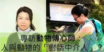 专访动物传心师Doreen 了解如何同动物沟通 | 宠物新闻资讯