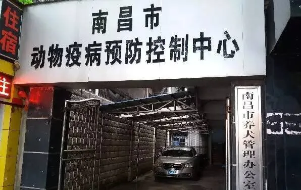 南昌最严养狗法来了!这些都不能再做了,罚款事小,关狗事大! | 宠物新闻资讯
