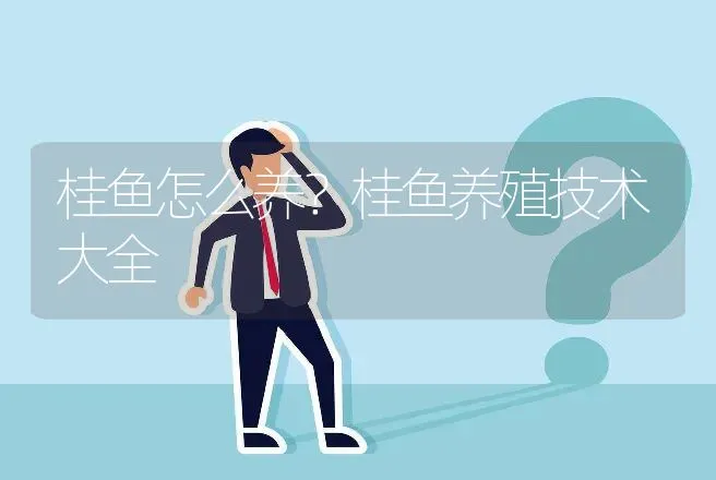 桂鱼怎么养？桂鱼养殖技术大全 | 水产知识