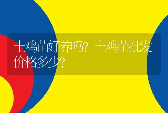 土鸡苗好养吗？土鸡苗批发价格多少？ | 家禽养殖