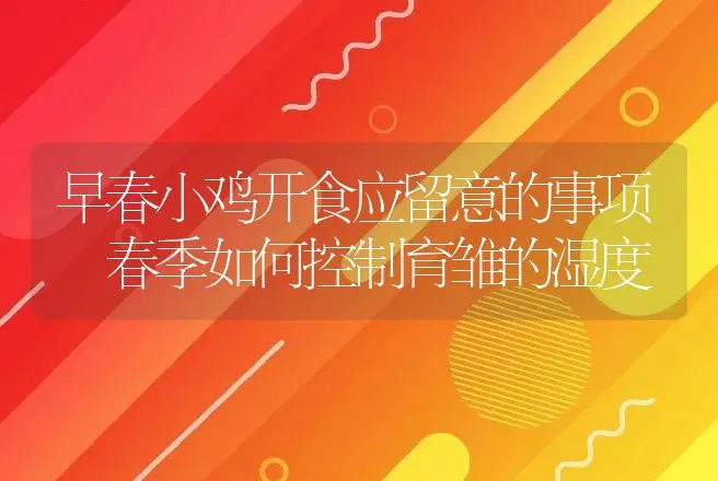 猪消化不良的病因、症状及防治方法分享 | 家畜养殖