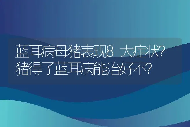 蓝耳病母猪表现8大症状？猪得了蓝耳病能治好不？ | 兽医知识大全