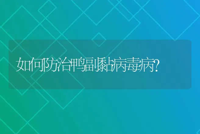 如何防治鸭副黏病毒病？ | 家禽养殖