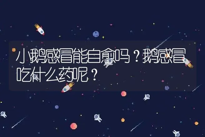 小鹅感冒能自愈吗？鹅感冒吃什么药呢？ | 兽医知识大全