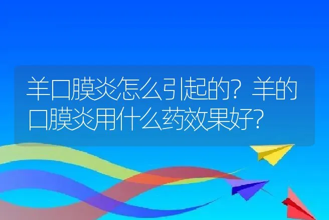 羊口膜炎怎么引起的？羊的口膜炎用什么药效果好？ | 兽医知识大全