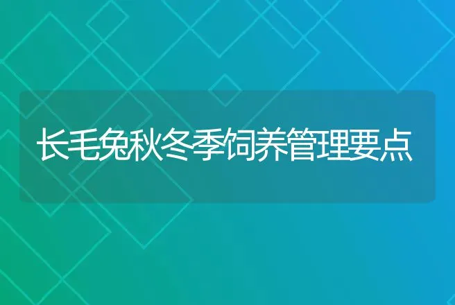 长毛兔秋冬季饲养管理要点 | 动物养殖