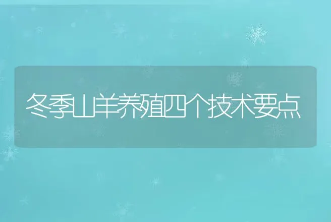 冬季山羊养殖四个技术要点 | 动物养殖