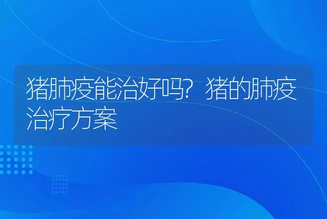 猪肺疫能治好吗?猪的肺疫治疗方案 | 兽医知识大全