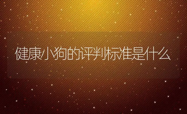 健康小狗的评判标准是什么 | 宠物病虫害