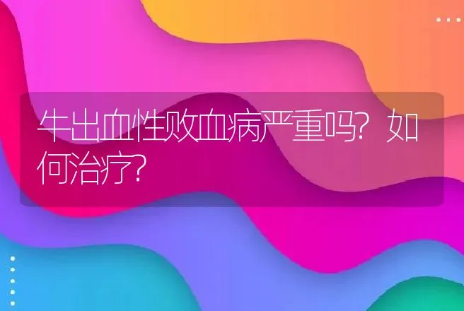 牛出血性败血病严重吗?如何治疗? | 家畜养殖