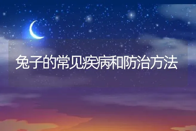 兔子的常见疾病和防治方法 | 动物养殖