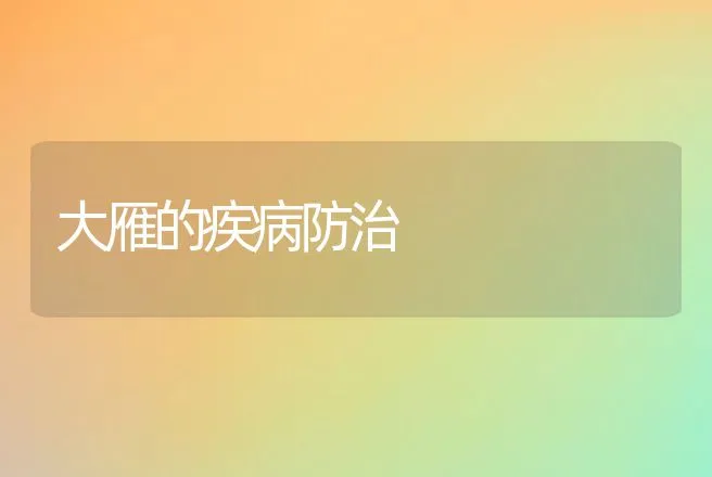 大雁的疾病防治 | 动物养殖