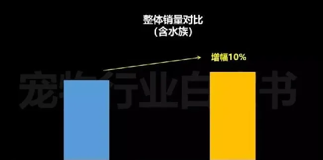 618大促带动宠物线上消费：猫产品仍是最大“赢家” 哪些品牌突围细分类目Top5? | 宠物行业洞察