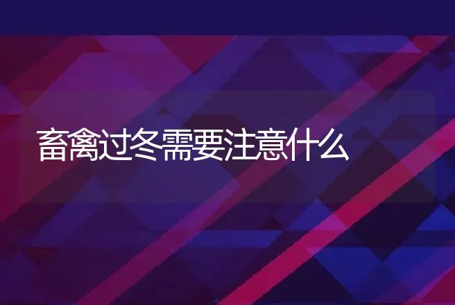 畜禽过冬需要注意什么 | 特种养殖