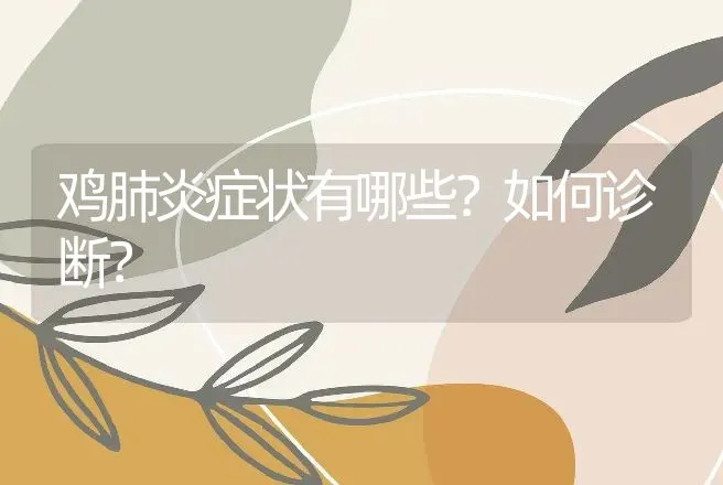 鸡肺炎症状有哪些？如何诊断？ | 兽医知识大全