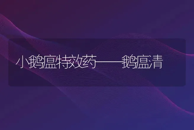 小鹅瘟特效药——鹅瘟清 | 家禽养殖