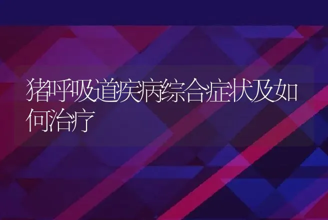 猪呼吸道疾病综合症状及如何治疗 | 兽医知识大全