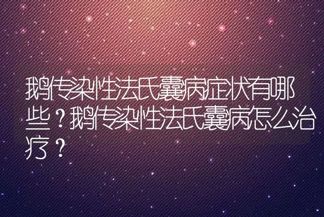 鹅传染性法氏囊病症状有哪些？鹅传染性法氏囊病怎么治疗？ | 兽医知识大全