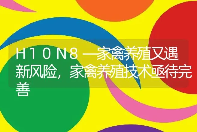 H10N8—家禽养殖又遇新风险，家禽养殖技术亟待完善 | 家禽养殖