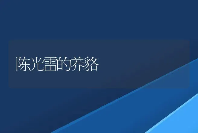 清华硕士回山里养羊喂鸡 一枚鸡蛋卖3块钱 | 家畜养殖