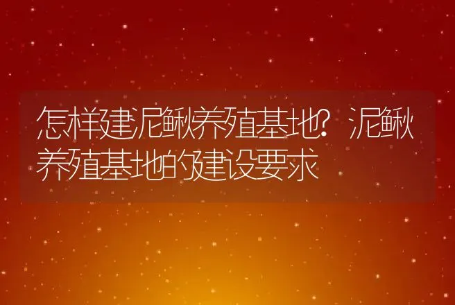 怎样建泥鳅养殖基地?泥鳅养殖基地的建设要求 | 家禽养殖