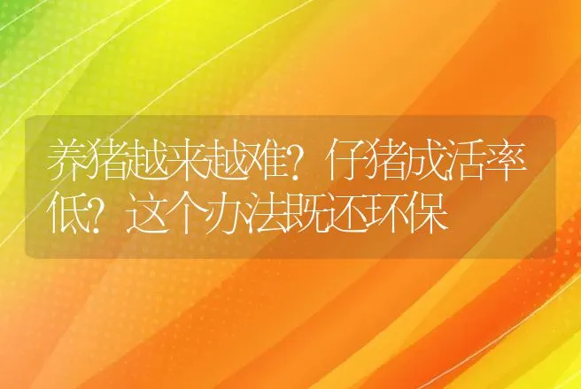 养猪越来越难？仔猪成活率低？这个办法既还环保 | 家畜养殖