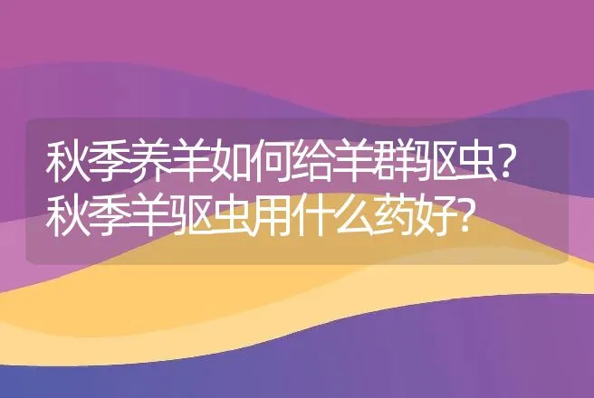 秋季养羊如何给羊群驱虫？秋季羊驱虫用什么药好？ | 兽医知识大全