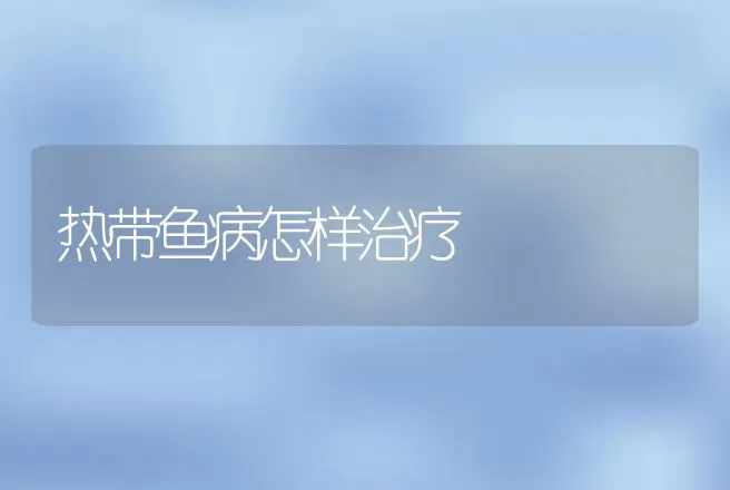 热带鱼病怎样治疗 | 动物养殖